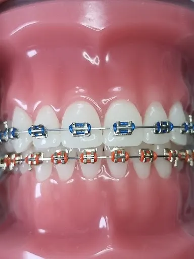 WaszaOrtodontka Stomatologia